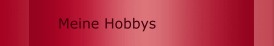Meine Hobbys